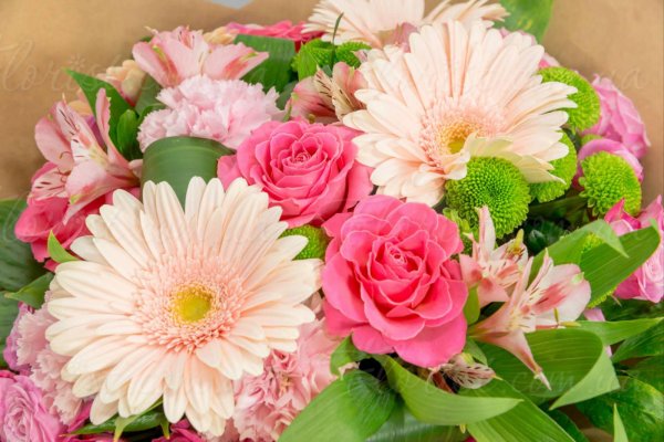 розы пионы хризантемы