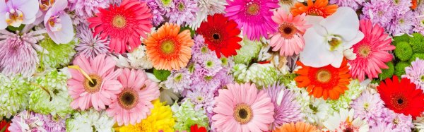 цветочные фоны