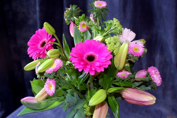 гербера букет