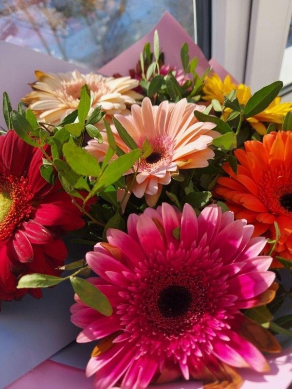 монобукет  герберы