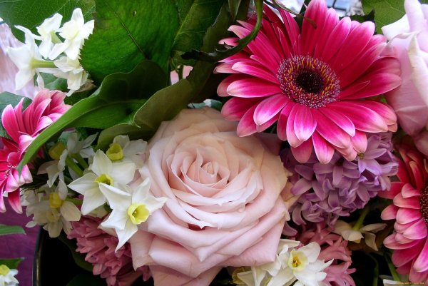 герберы с розами