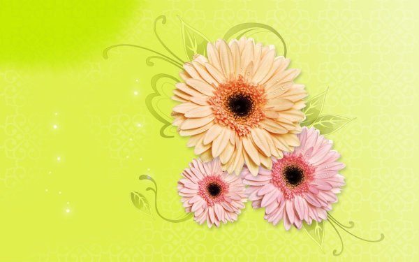 цветочные фоны