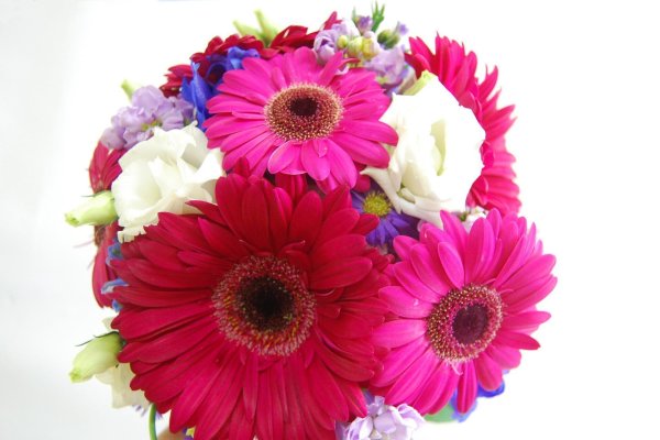 букет гербер