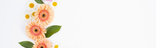 фон для поздравительной открытки