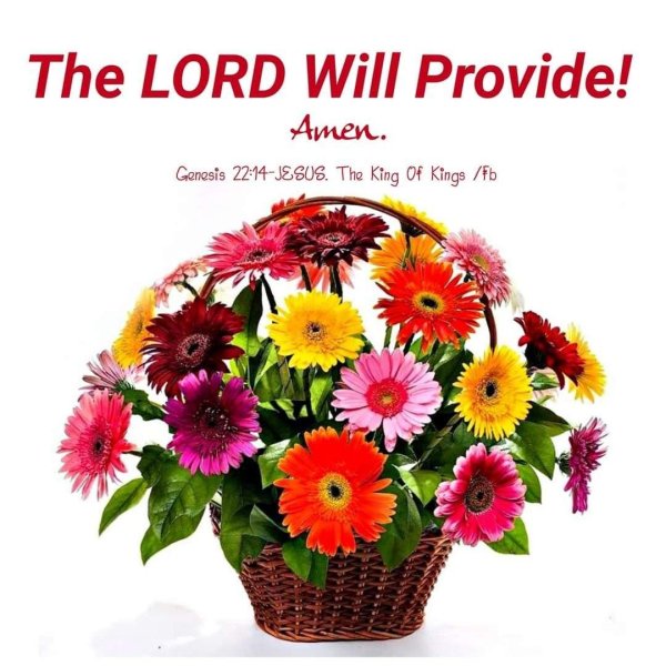 корзина с герберами