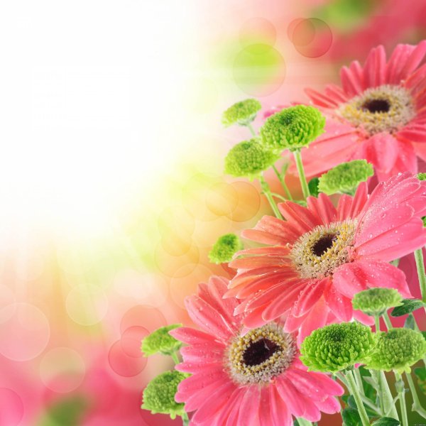 фон цветочный