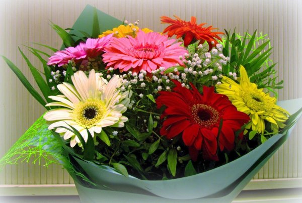 букет гербер