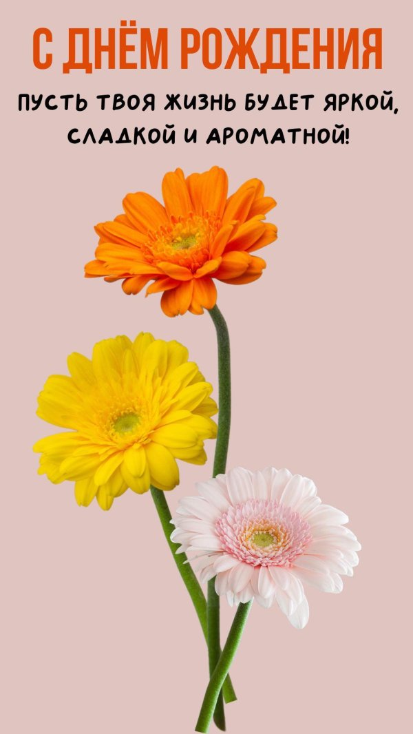 поздравительная открытка