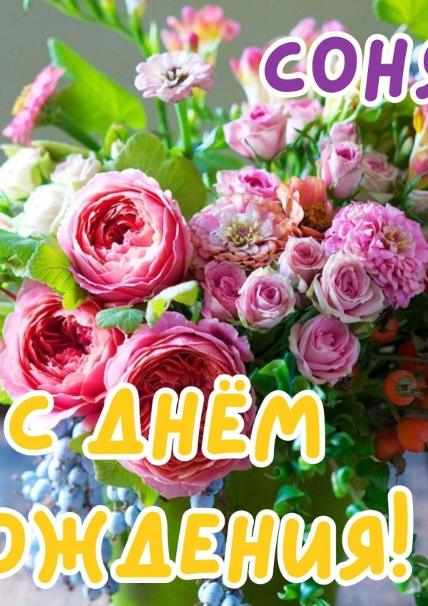 с днём рождения соня красивые поздравления открытки