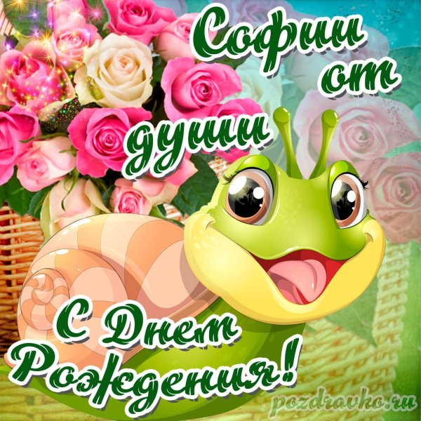 с днем рождения софии