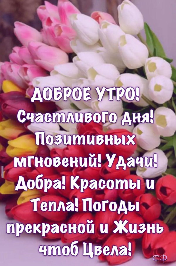 доброе утро с пожеланиями счастья