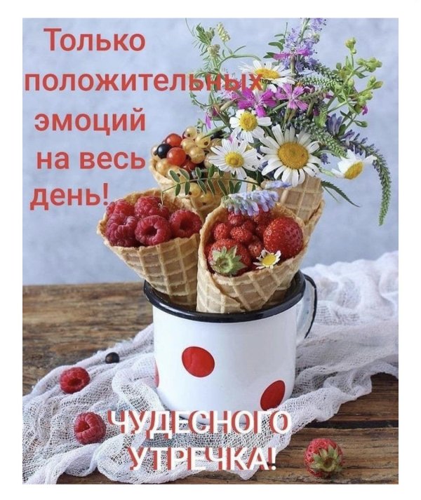 чудесного дня