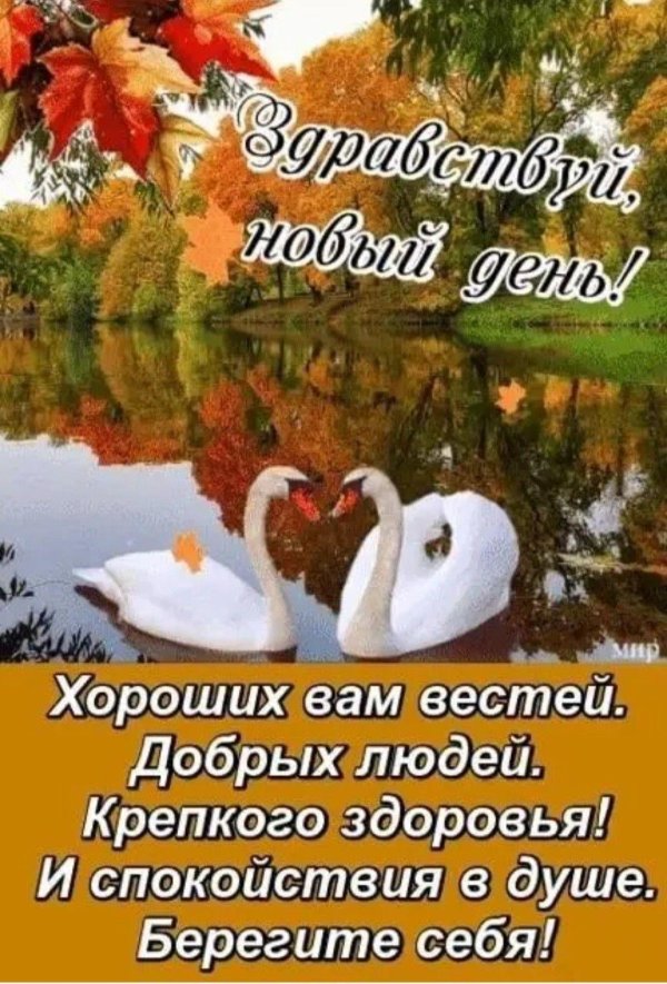 осенние поздравления с добрым утром красивые