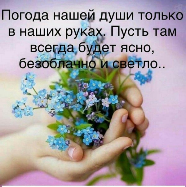 букет незабудки