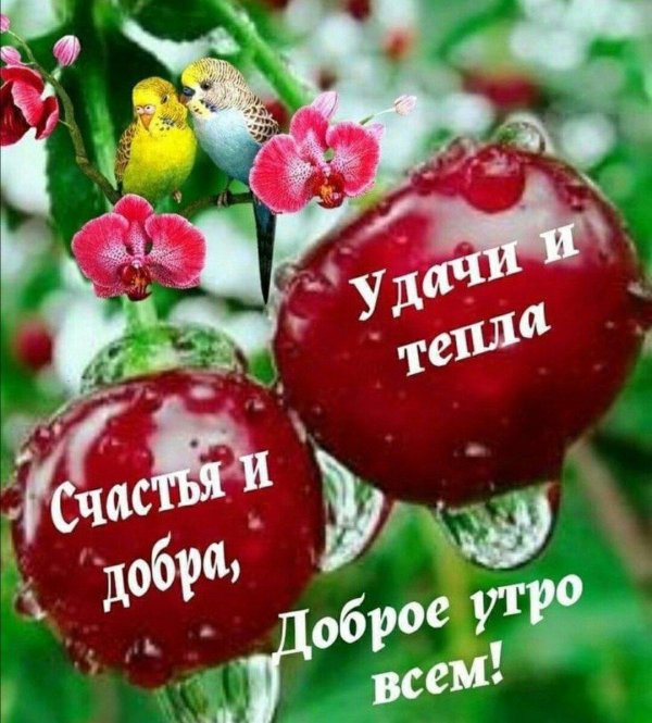 теплые пожелания с добрым утром