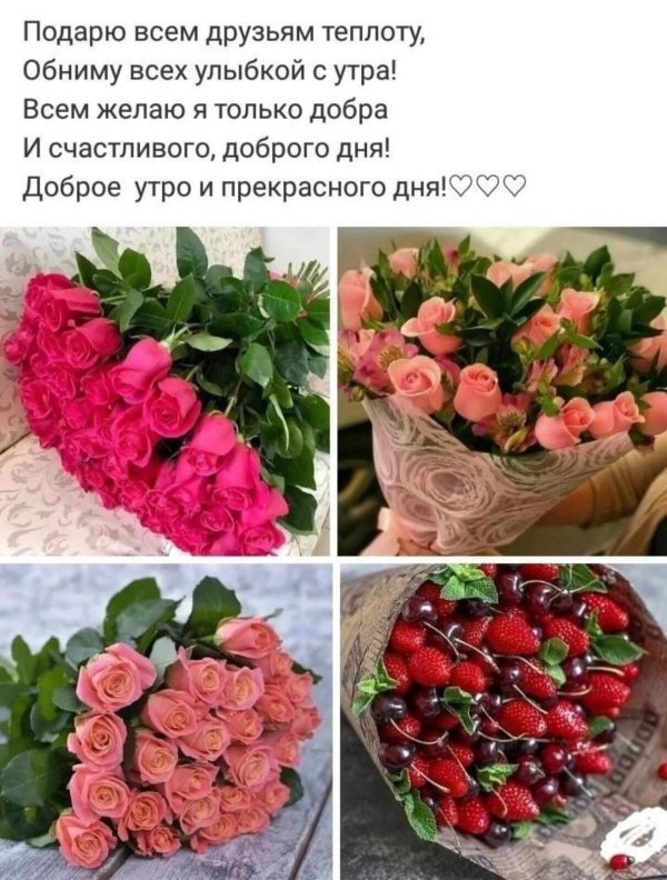 подарю всем друзьям теплоту