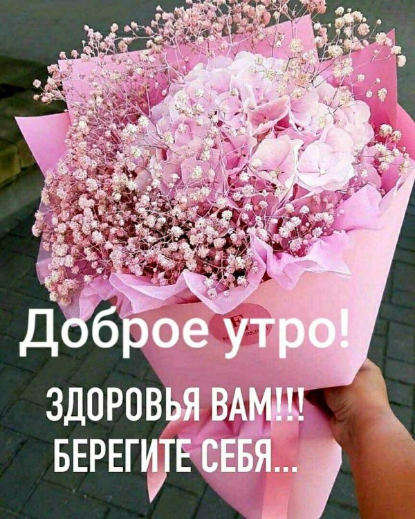 доброго утра здоровье