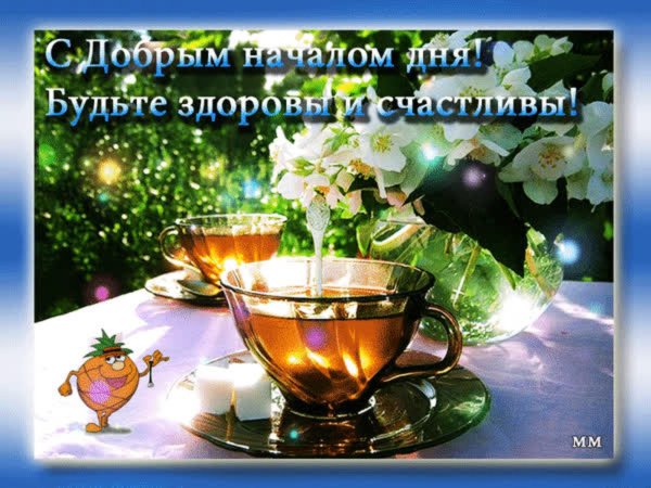 пожелания доброго утра дня