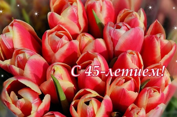 с день рождения максим