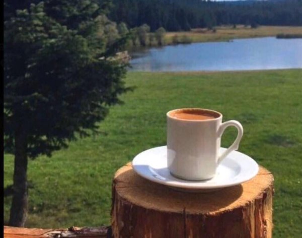 чашка кофе в горах