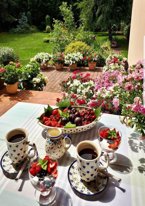 завтрак в саду