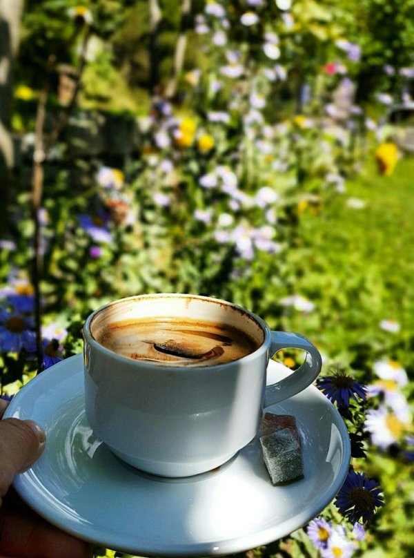 Доброе утро с кофе на природе