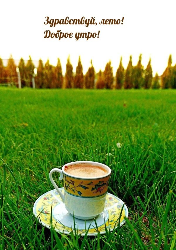 с добрым утром на природе