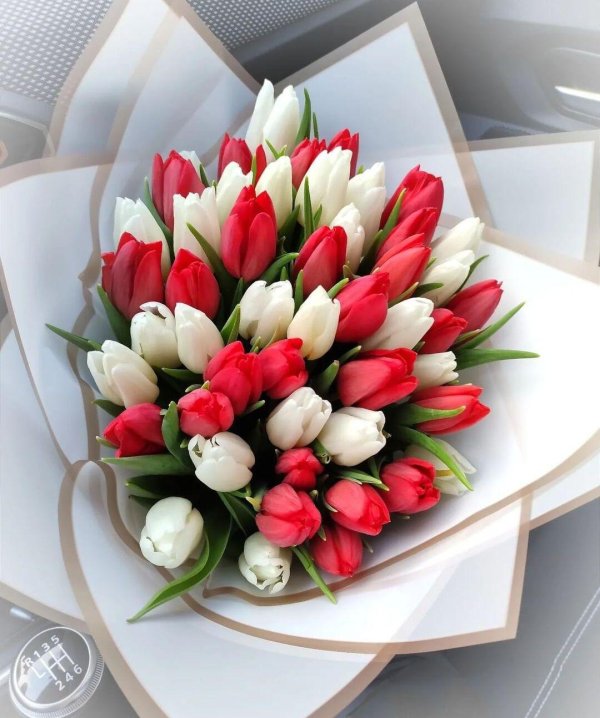 тюльпан букет