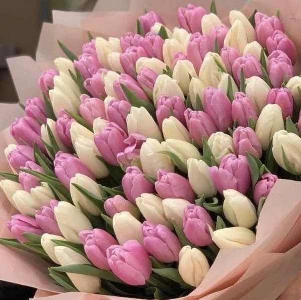 большие букеты тюльпанов