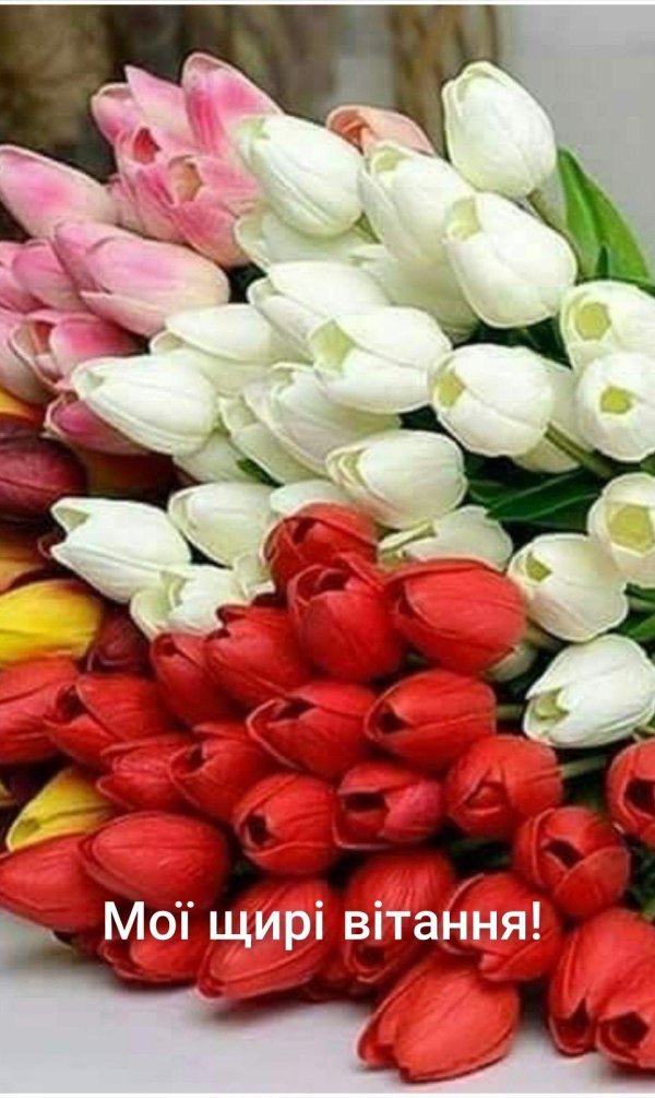 букеты тюльпанов реальное