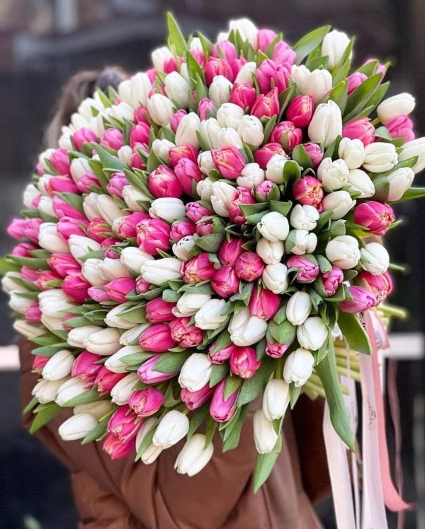 большие букеты тюльпанов
