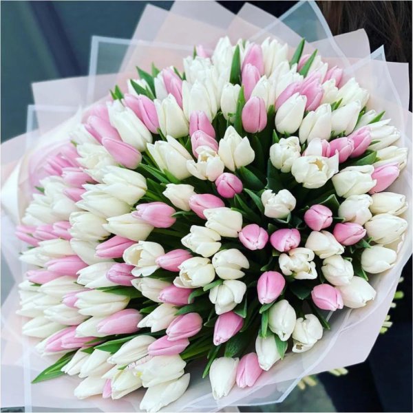 большие букеты тюльпанов