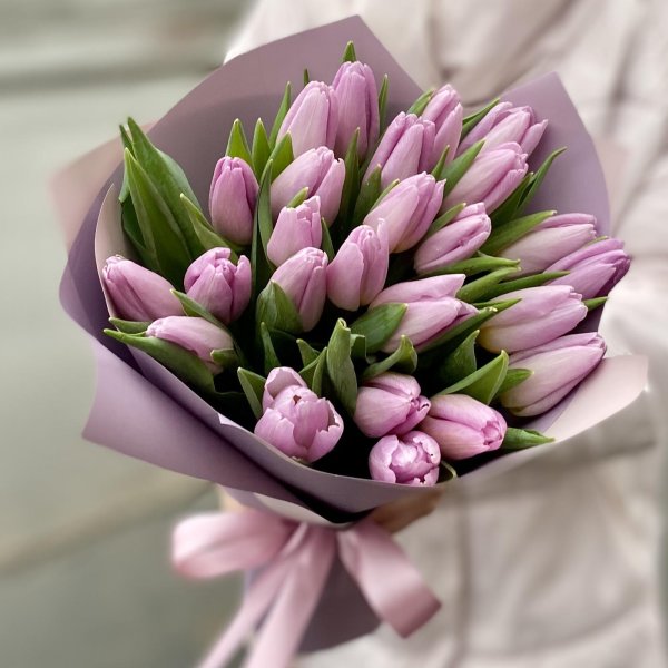 лиловые тюльпаны