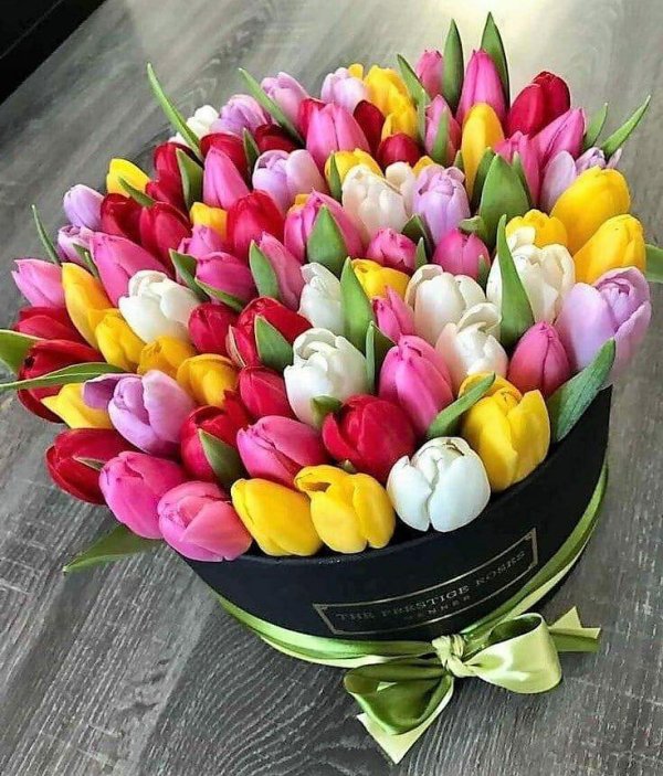 большие букеты тюльпанов