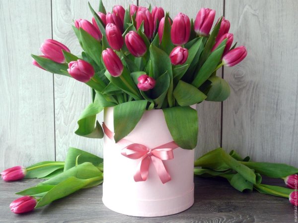 коробка с тюльпанами