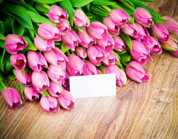 открытка с тюльпанами