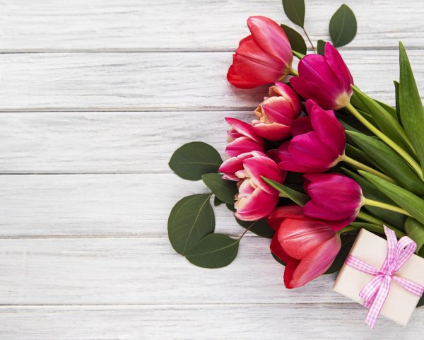 фон с тюльпанами