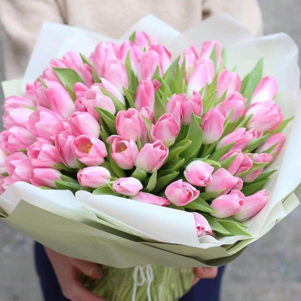 розовые тюльпаны