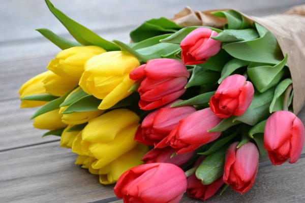 шикарные тюльпаны