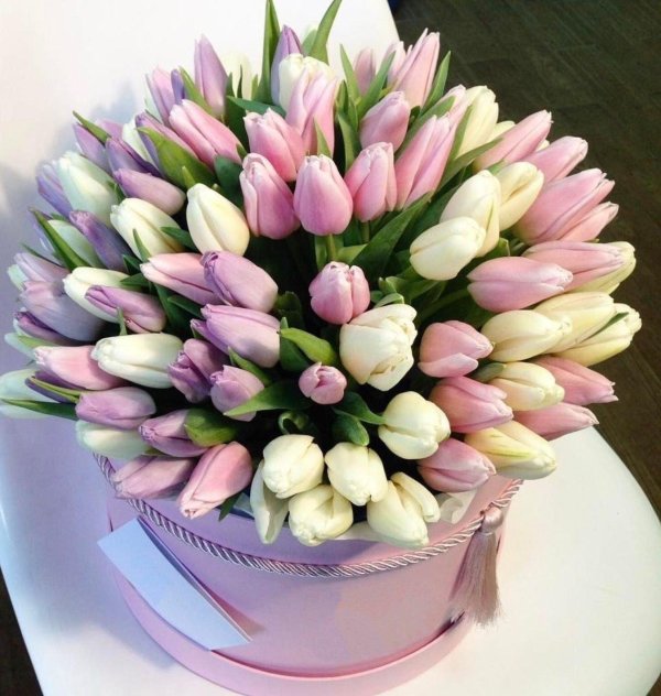 коробка с тюльпанами