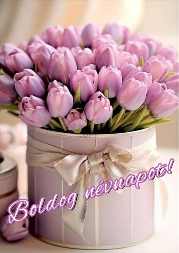 розовые тюльпаны