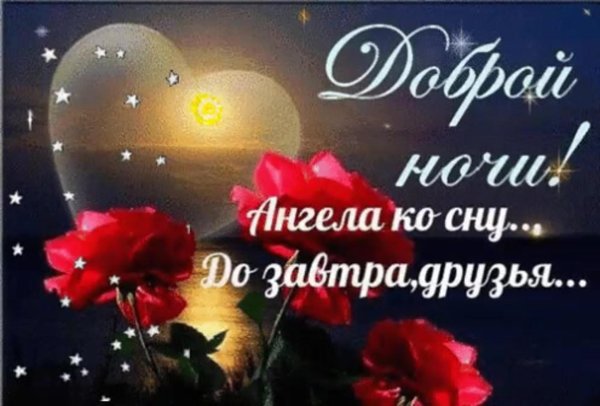 доброй ночи сладких снов до завтра