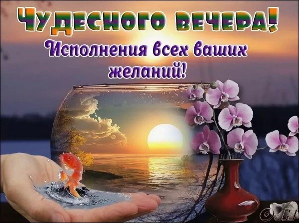 добрый вечер зоя