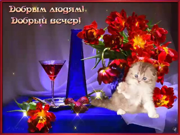 красивое поздравление с добрым вечером