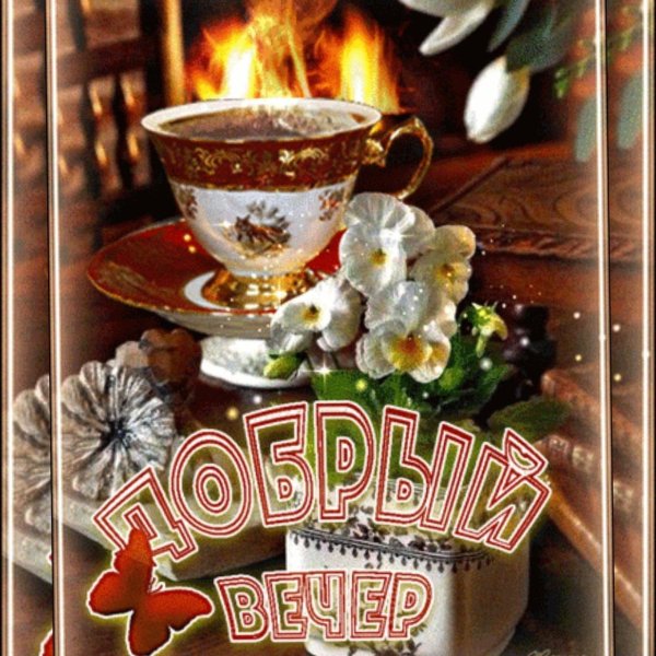 добр вечер