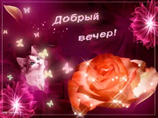 красивая открытка с добрым вечером