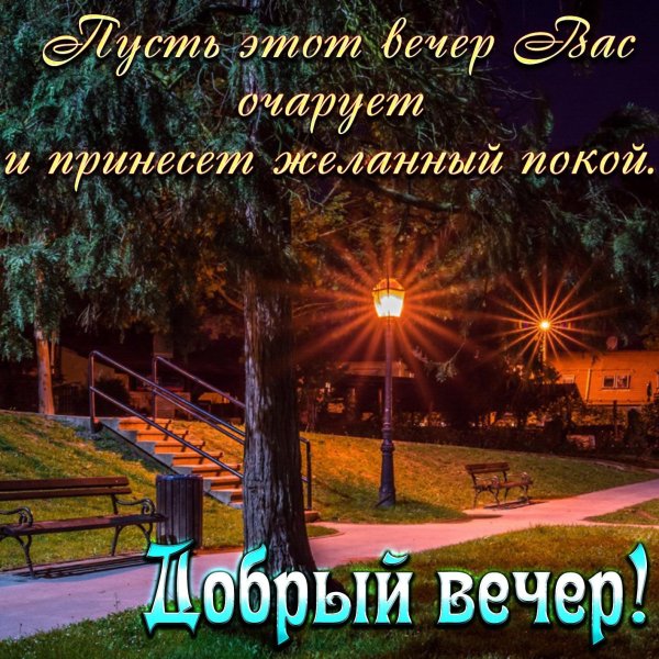 добр вечер