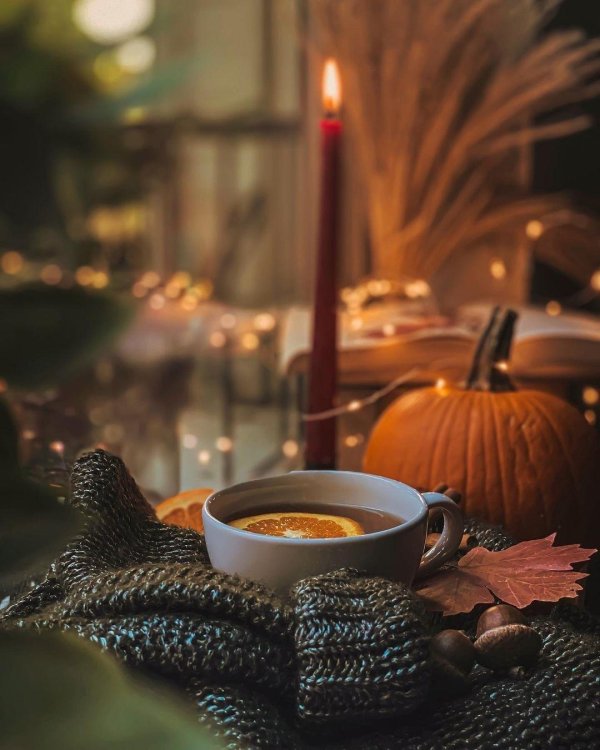 уютная осень