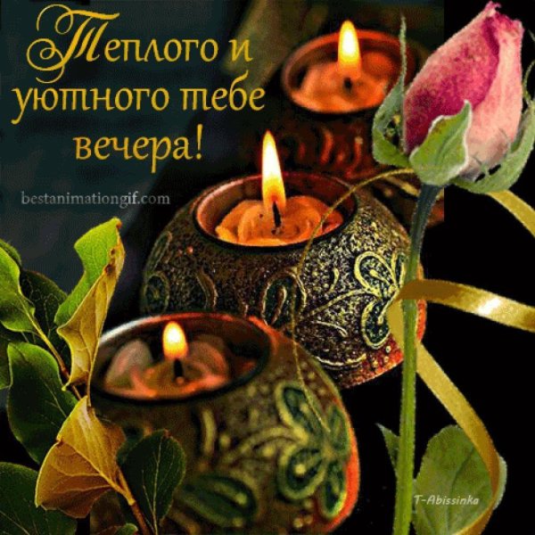 теплого вечера