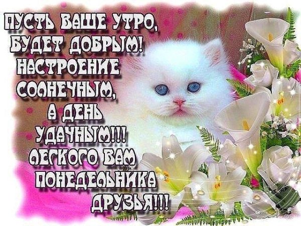 открытка доброго понедельника